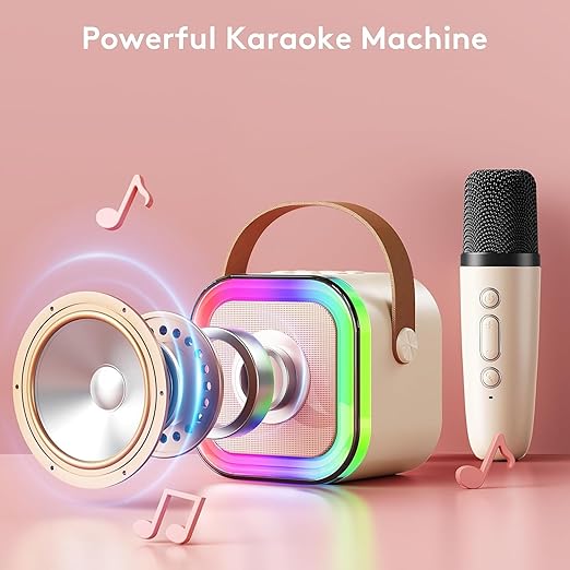 Gift Karaoke Set