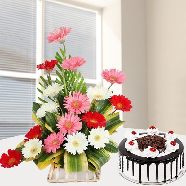 Mix Gerbera Arrangement With Cake