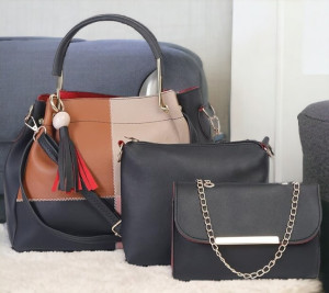 Fargo Handbag For Women And Girls Combo Set Of 3