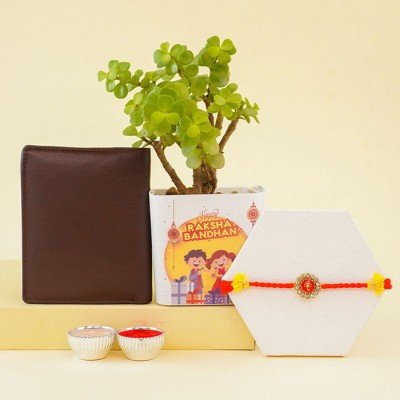 Designer Rakhi With Wallet N Jade Plant