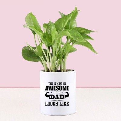 Money Plant In Personalised Awesome Dad Mug