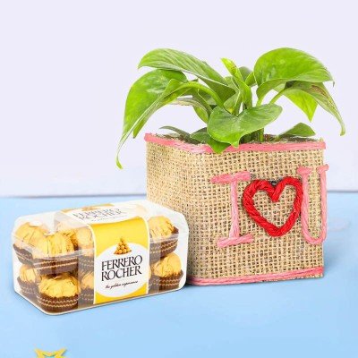 Cute Money Plant With Ferrero Rocher
