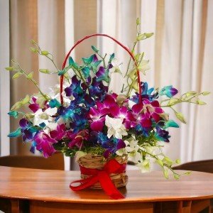Colorful Fifteen Orchids Arrangement