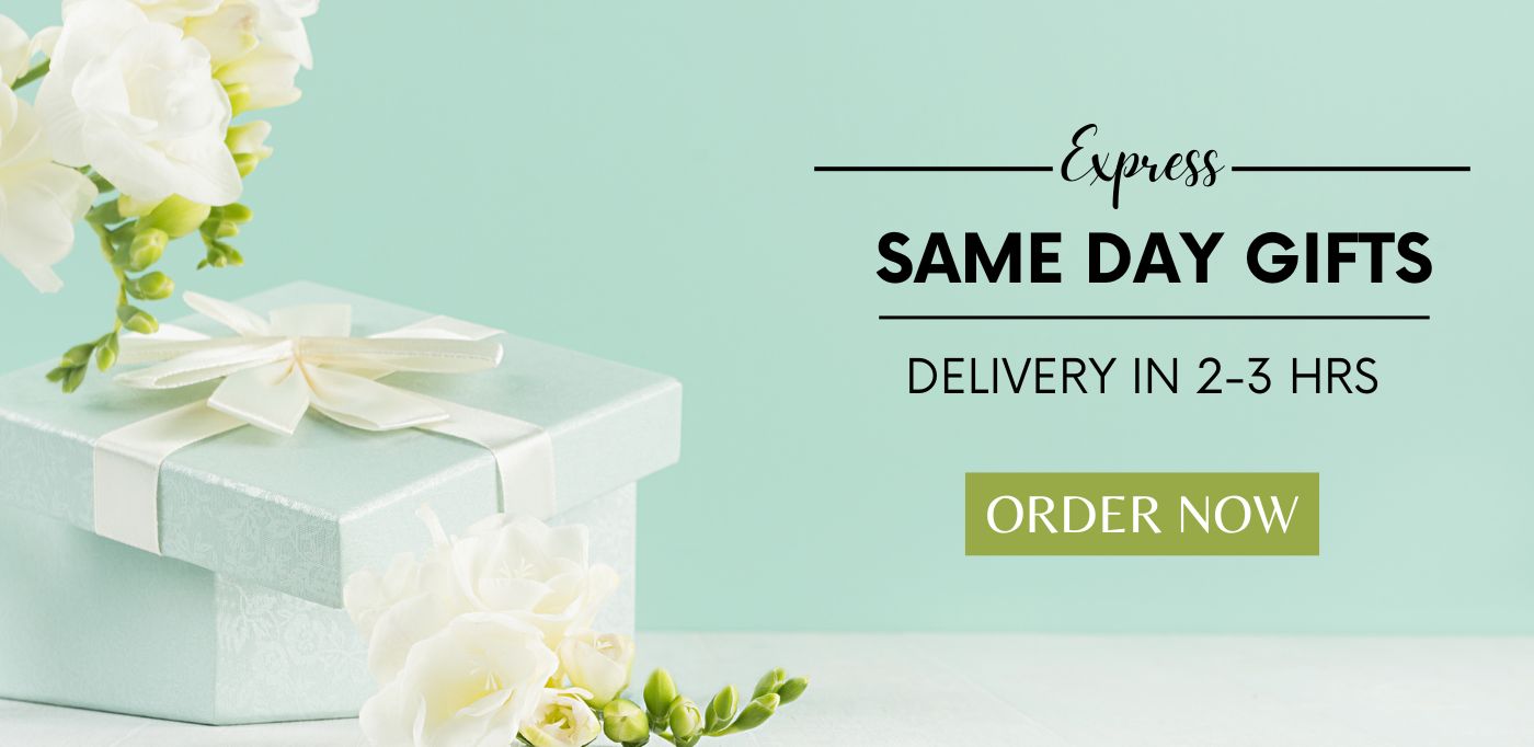 Same Day Delivery Gifts