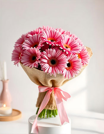 buy gerbera online