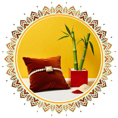 Rakhi With Plants Online Delivery
