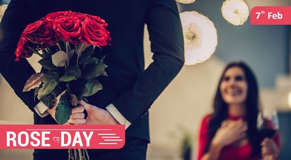 Rose Day Gifts Online